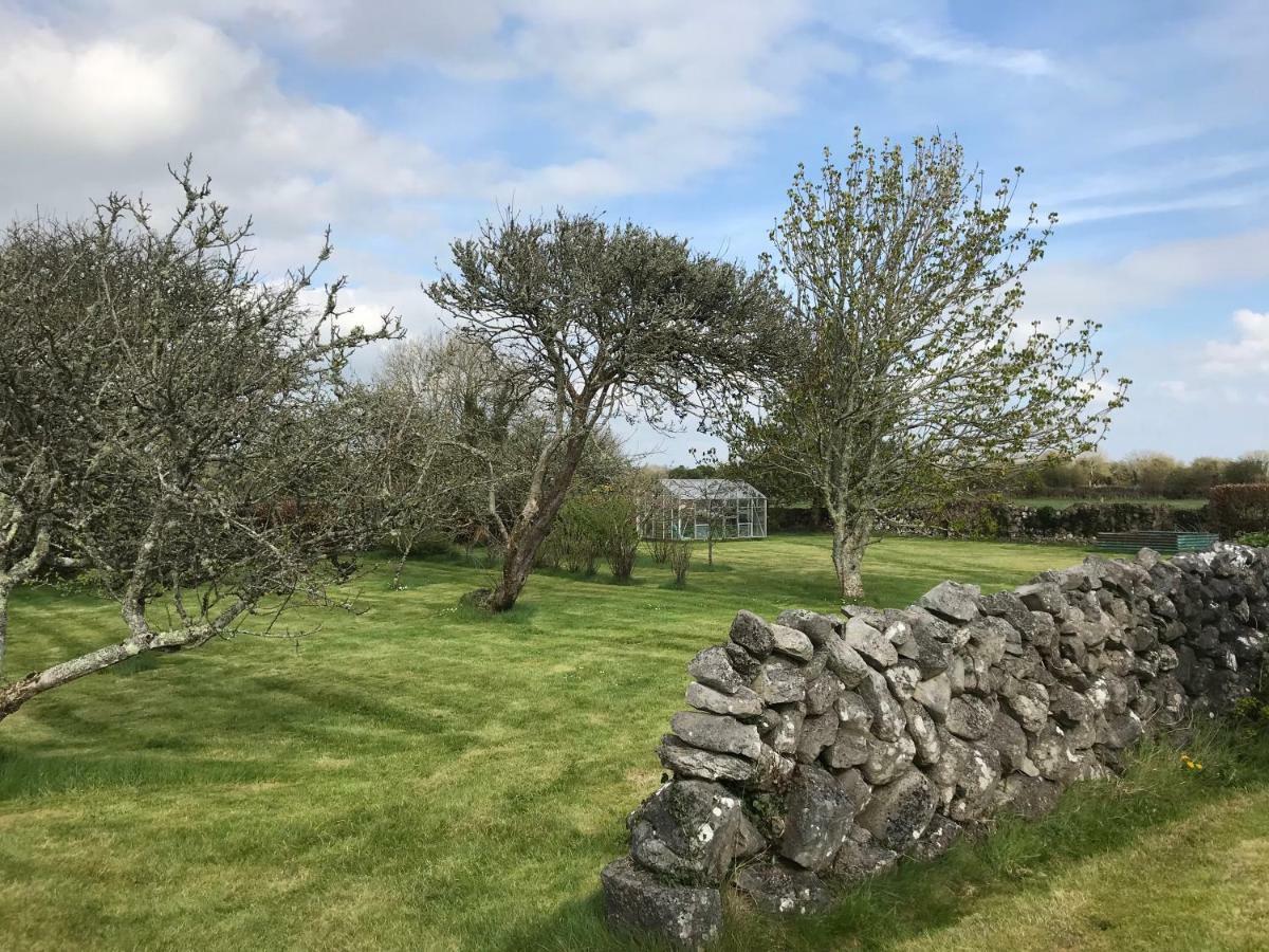 Corrib View Farmhouse ゴールウェイ エクステリア 写真