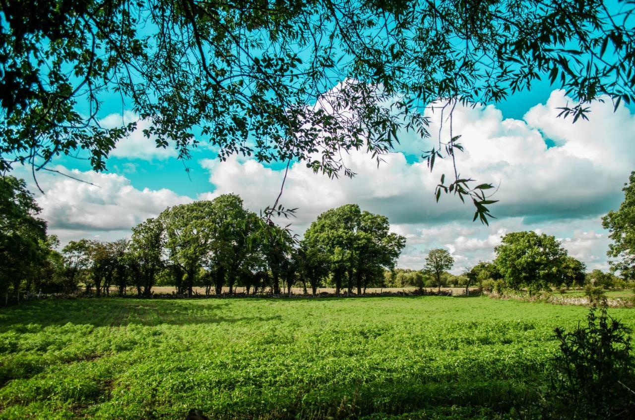 Corrib View Farmhouse ゴールウェイ エクステリア 写真